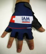 2015 IAM Handschoenen Cycling Blauw