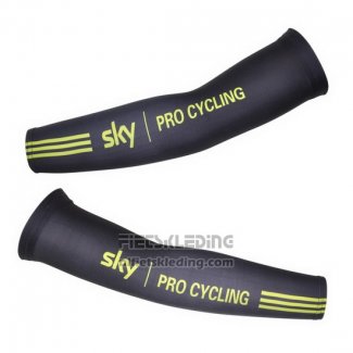 2011 Sky Armstukken Cycling