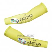 2013 Vini Fantini Armstukken Cycling