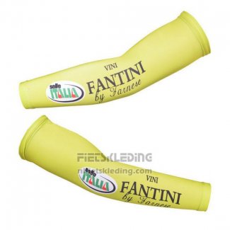 2013 Vini Fantini Armstukken Cycling