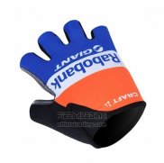 2012 Rabobank Handschoenen Cycling